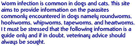 info1
